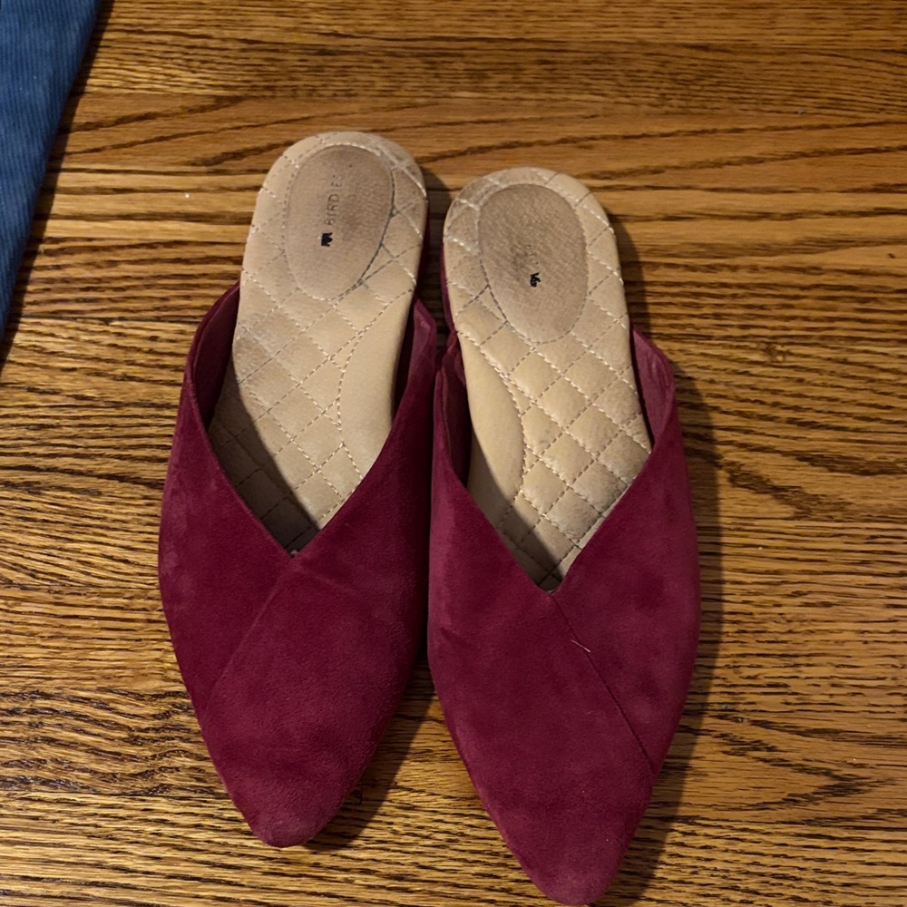 Birdies Wine Colored Mule